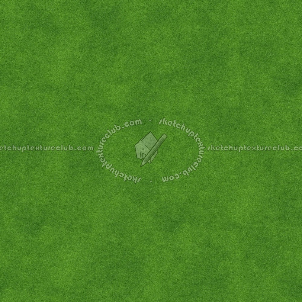 Textures   -   NATURE ELEMENTS   -   VEGETATION   -   Green grass  - Green grass texture seamless 13058 (seamless)