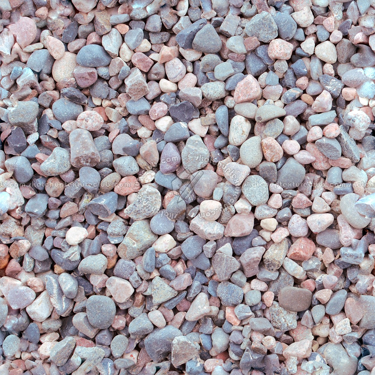 Textures   -   NATURE ELEMENTS   -   GRAVEL &amp; PEBBLES  - Pebbles stone texture seamless 12461 (seamless)