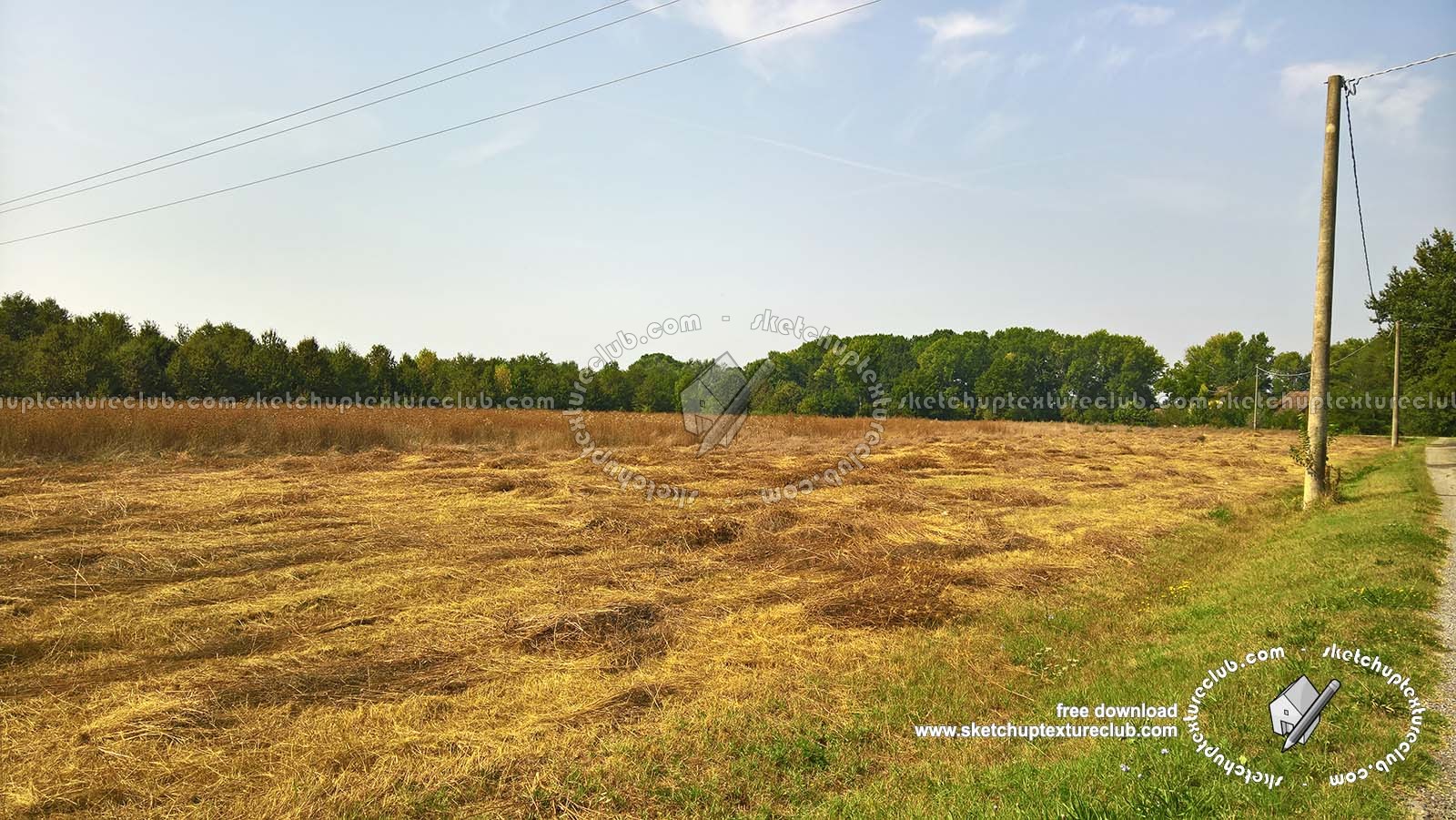 Textures   -   BACKGROUNDS &amp; LANDSCAPES   -   NATURE   -   Countrysides &amp; Hills  - Countrysides wheat field landscape 18024