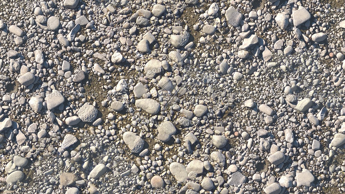 Textures   -   NATURE ELEMENTS   -   GRAVEL &amp; PEBBLES  - Pebbles stone po river with fossil shells texture seamless 17318 (seamless)