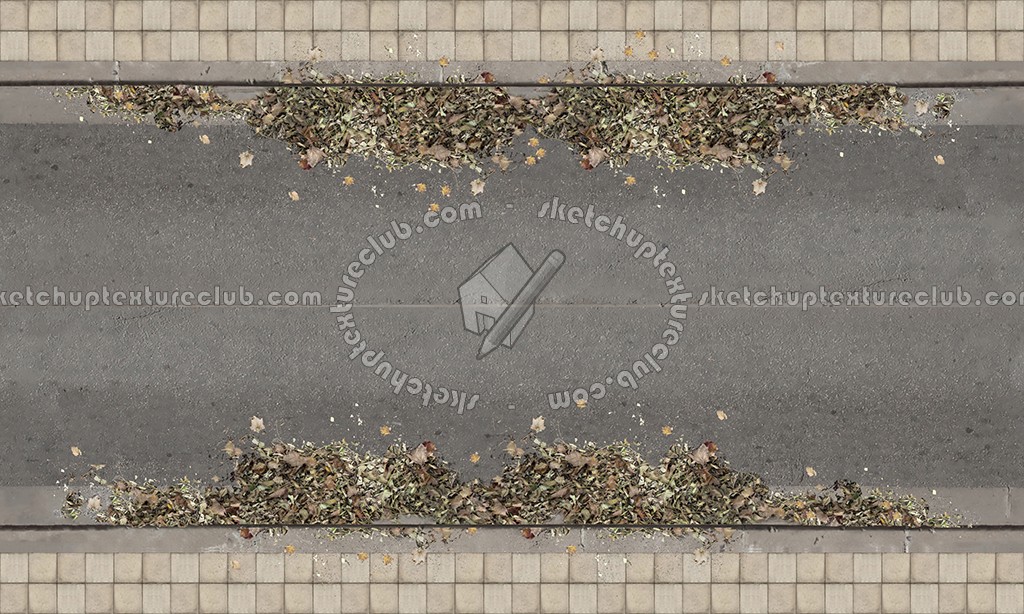 Textures   -   ARCHITECTURE   -   ROADS   -   Roads  - Dirt road texture seamless 07629 (seamless)