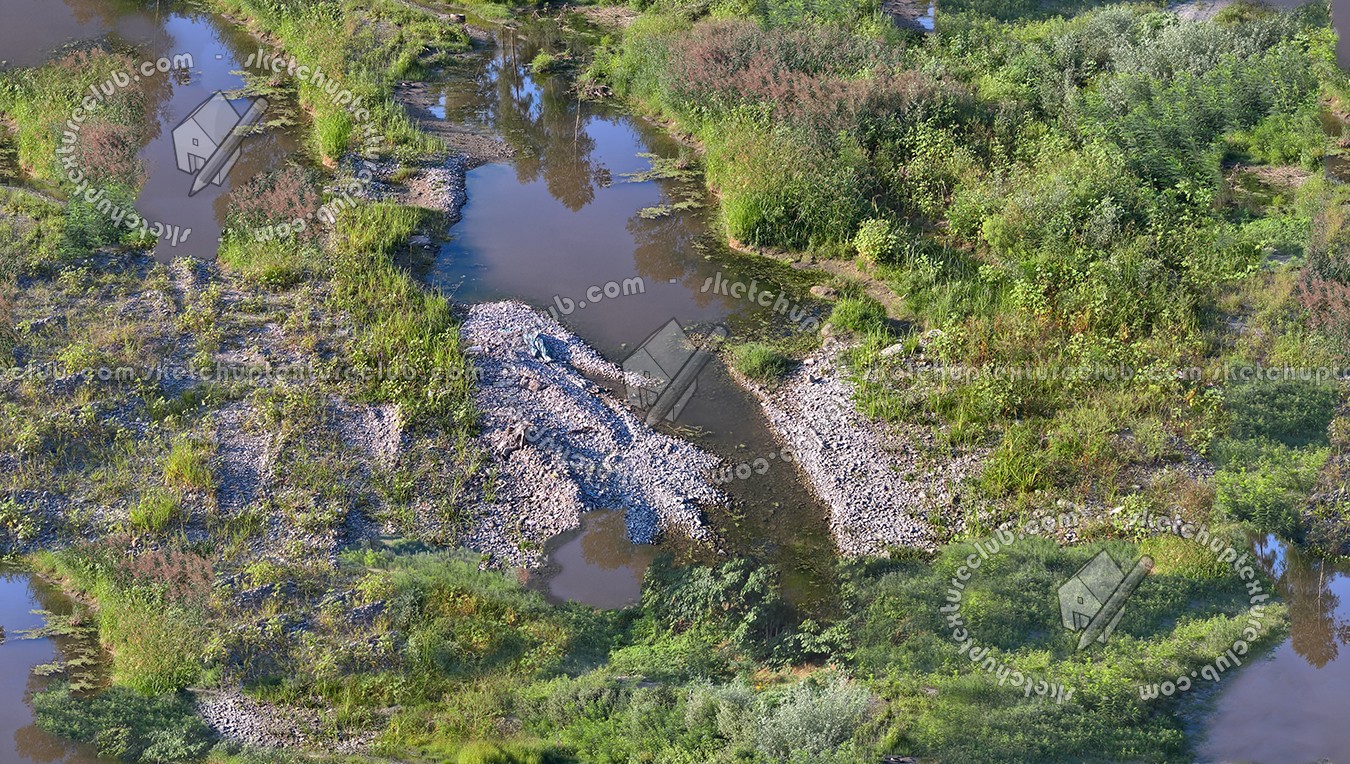 Textures   -   NATURE ELEMENTS   -   VEGETATION   -   Green grass  - Grass with puddles texture seamless 17475 (seamless)
