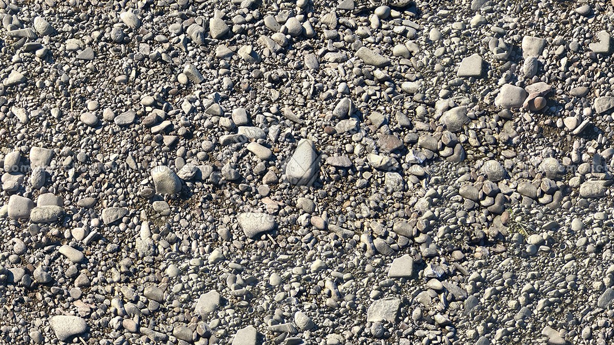 Textures   -   NATURE ELEMENTS   -   GRAVEL & PEBBLES  - Pebbles stone po river with fossil shells texture seamless 17320 (seamless)