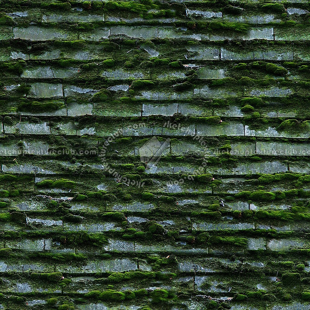 Textures   -   ARCHITECTURE   -   ROOFINGS   -   Shingles wood  - Wood shingle roof with moss texture seamless 03890 (seamless)