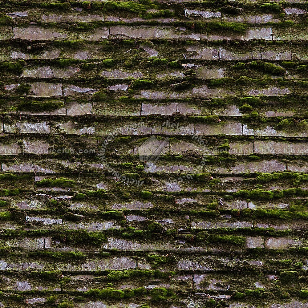 Textures   -   ARCHITECTURE   -   ROOFINGS   -   Shingles wood  - Wood shingle roof with moss texture seamless 03891 (seamless)