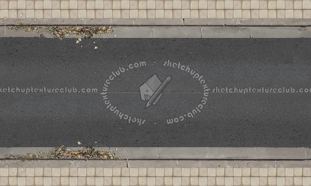 Textures   -   ARCHITECTURE   -   ROADS   -   Roads  - Dirt road texture seamless 07633 (seamless)