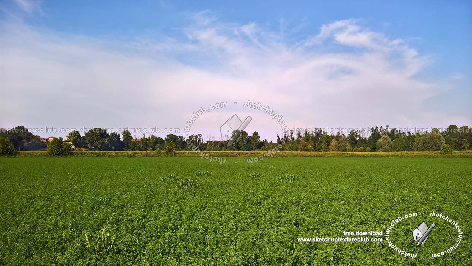 Textures   -   BACKGROUNDS &amp; LANDSCAPES   -   NATURE   -   Countrysides &amp; Hills  - Countryside green landscape texture 18032