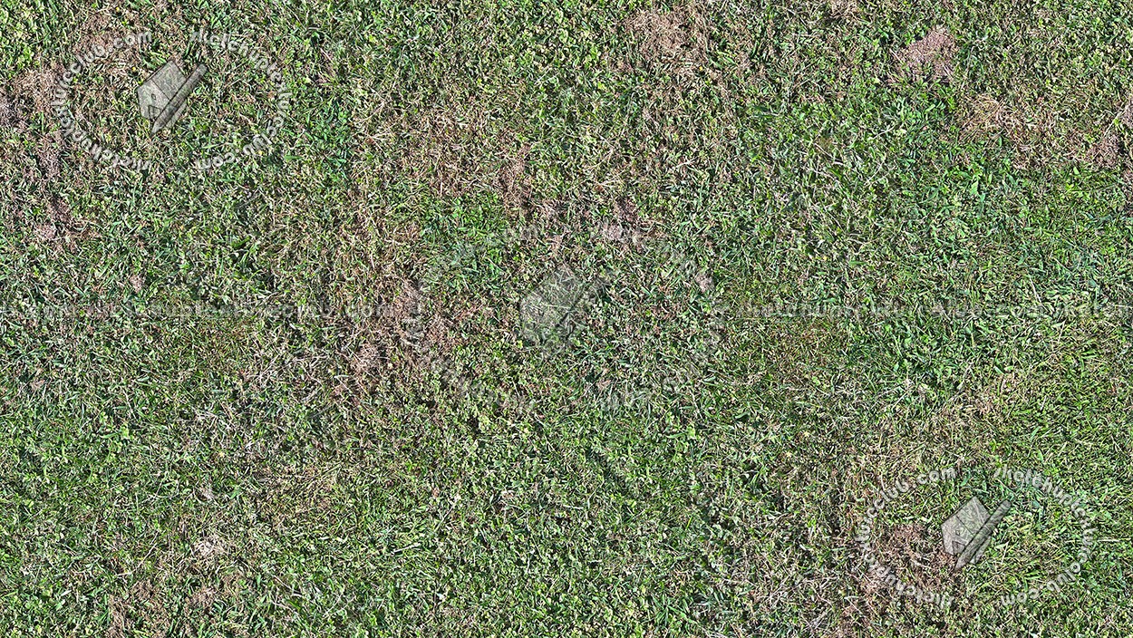 Textures   -   NATURE ELEMENTS   -   VEGETATION   -   Green grass  - Grass clippings texture seamless 17677 (seamless)