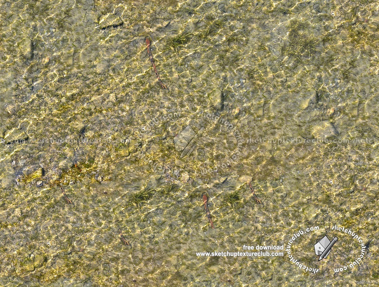 Textures   -   NATURE ELEMENTS   -   GRAVEL &amp; PEBBLES  - Pebbles under water texture seamless 18208 (seamless)