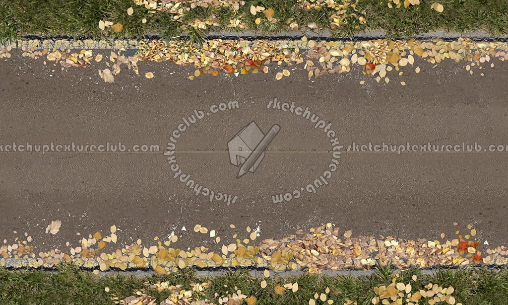 Textures   -   ARCHITECTURE   -   ROADS   -   Roads  - Dirt road texture seamless 07639 (seamless)