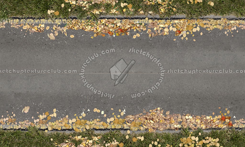 Textures - ARCHITECTURE - ROADS - Roads - Dirt road texture seamless 07640 (seamless)