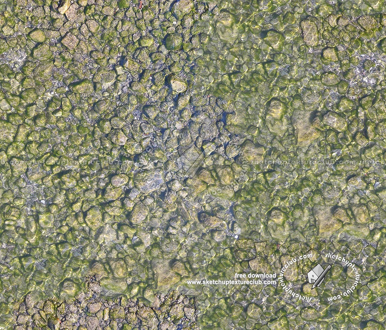 Textures - NATURE ELEMENTS - GRAVEL & PEBBLES - Pebbles under water texture seamless 18212 (seamless)