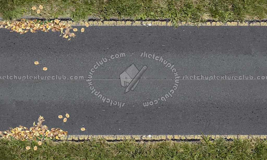 Textures   -   ARCHITECTURE   -   ROADS   -   Roads  - Dirt road texture seamless 07645 (seamless)