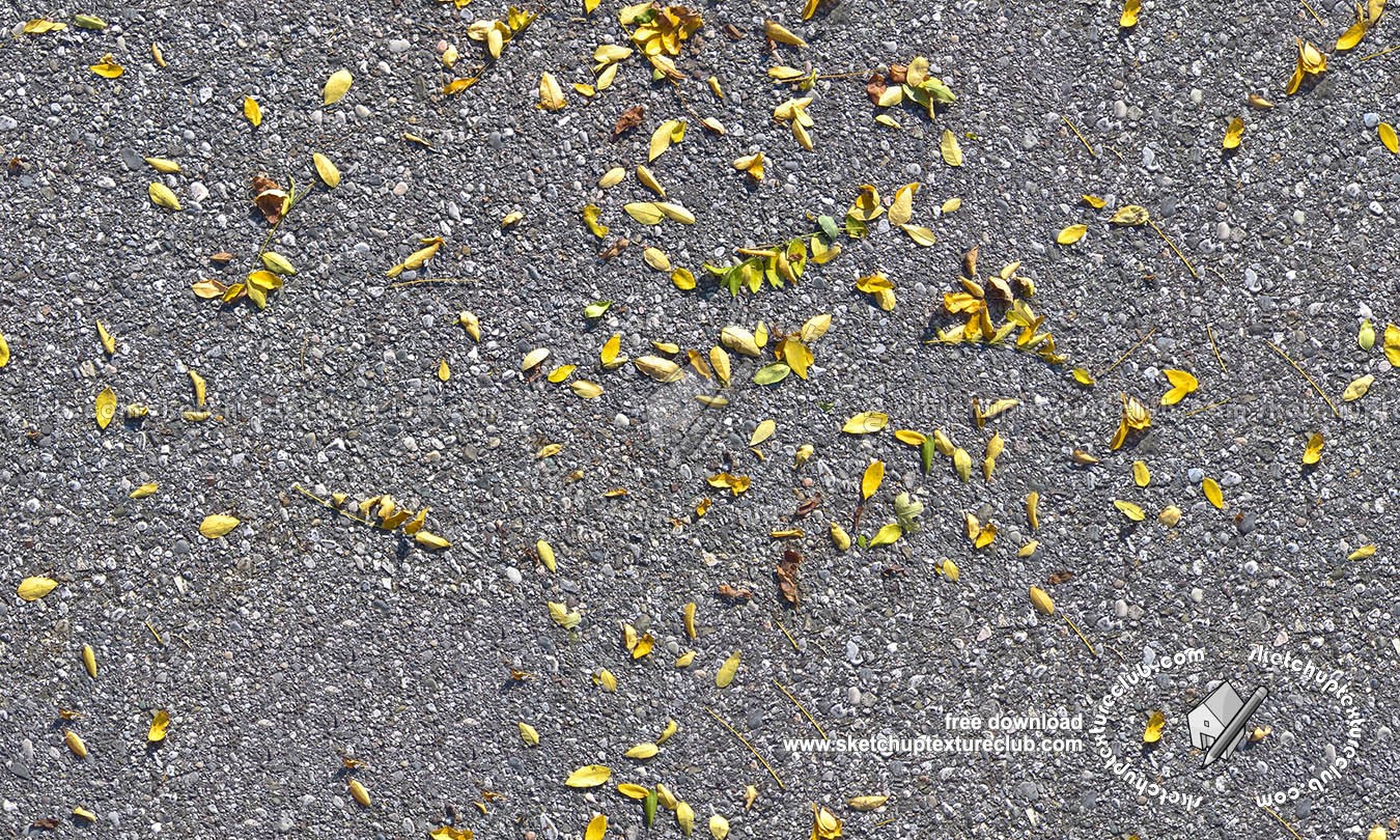 Textures   -   ARCHITECTURE   -   ROADS   -   Asphalt  - Asphalt with dead leaves texture seamless 18729 (seamless)