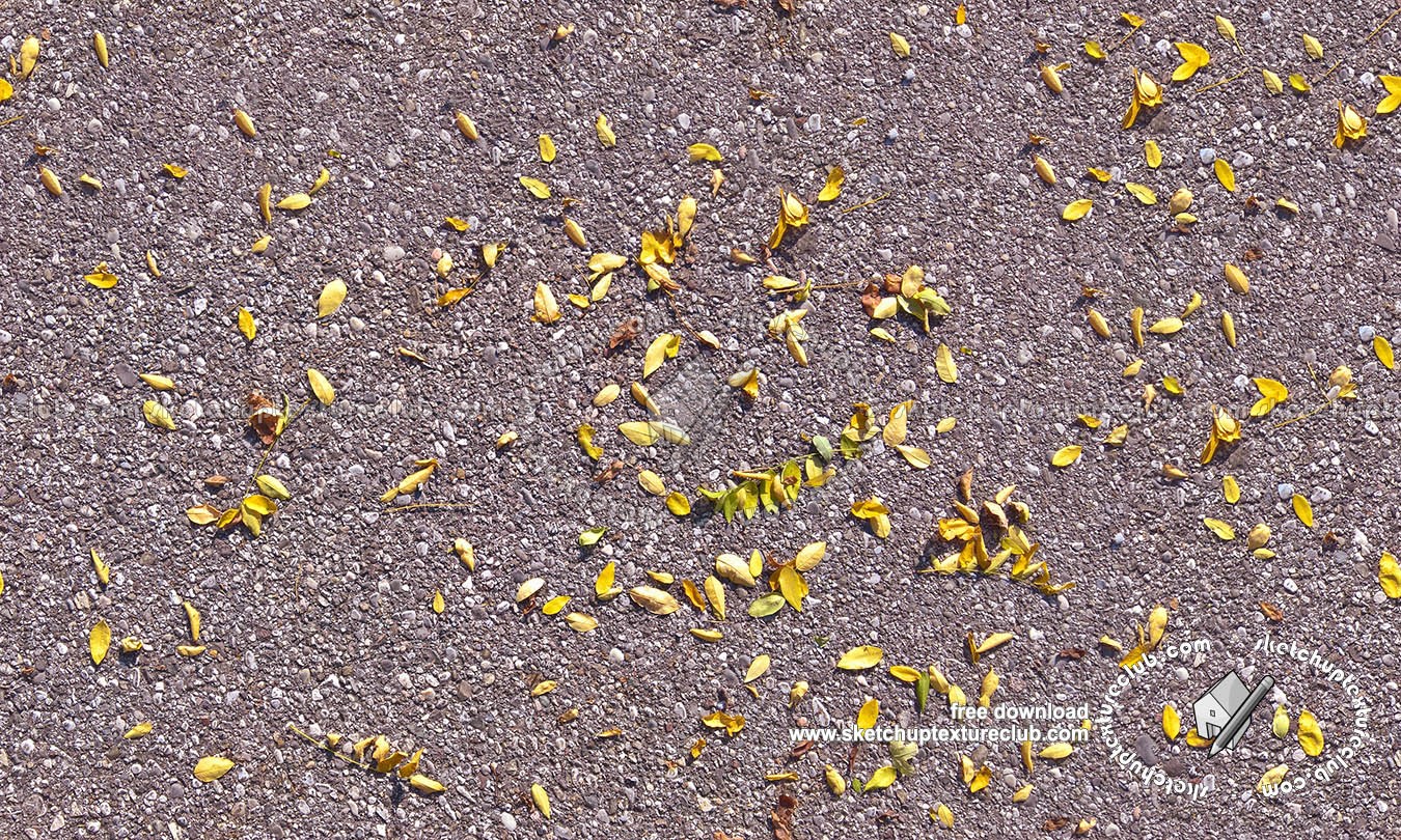 Textures   -   ARCHITECTURE   -   ROADS   -   Asphalt  - Asphalt with dead leaves texture seamless 18730 (seamless)