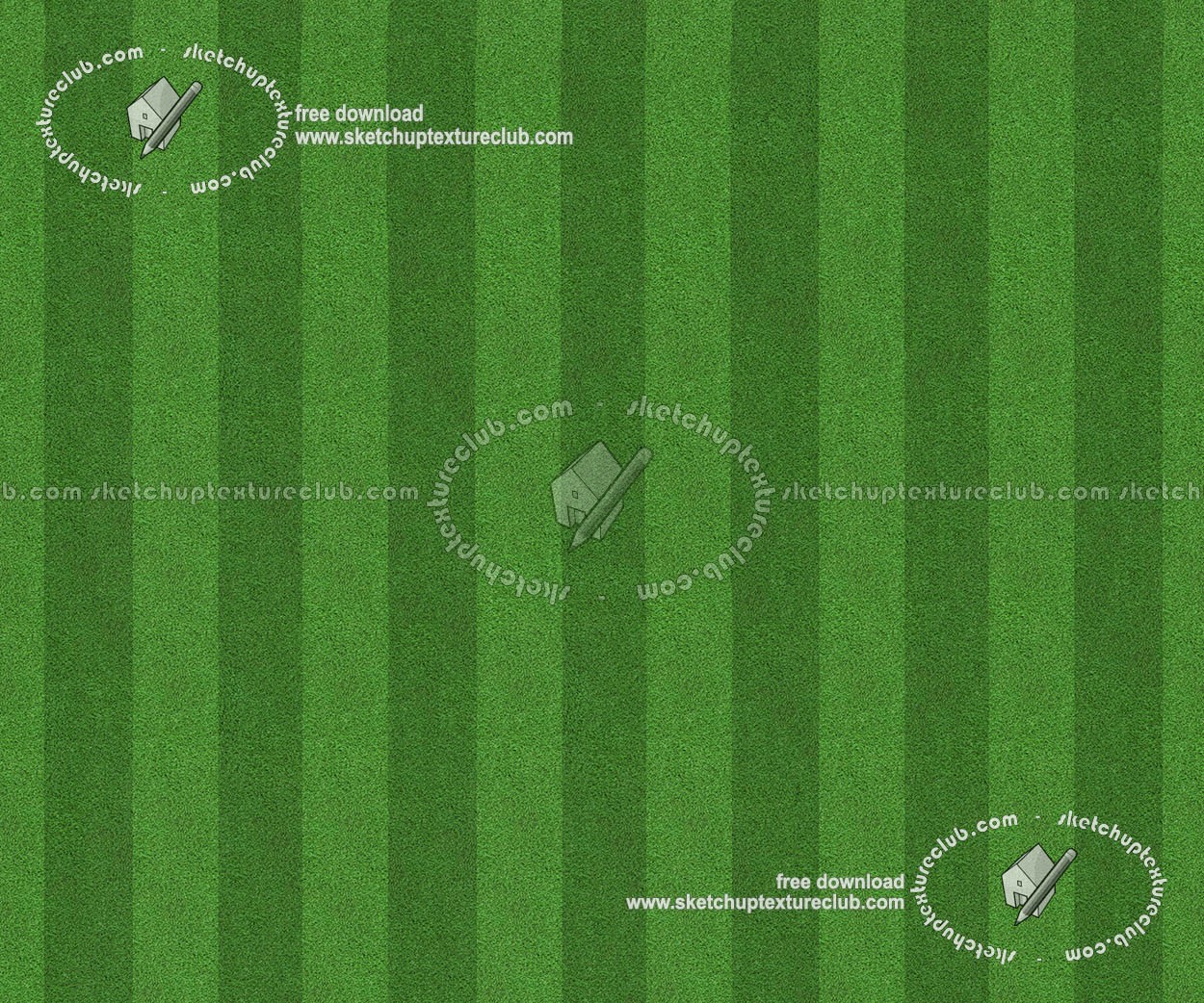 Textures   -   NATURE ELEMENTS   -   VEGETATION   -   Green grass  - Football green grass texture seamless 18716 (seamless)