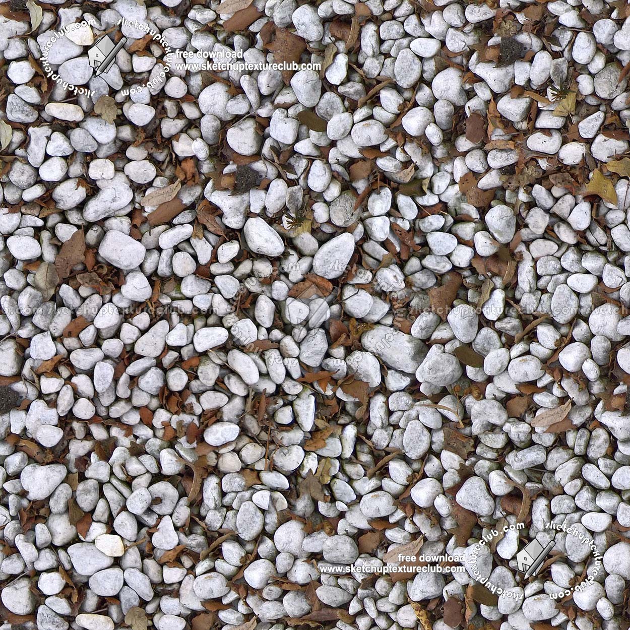 Textures   -   NATURE ELEMENTS   -   GRAVEL &amp; PEBBLES  - White pebbles stone with dead leaves texture seamless 19753 (seamless)