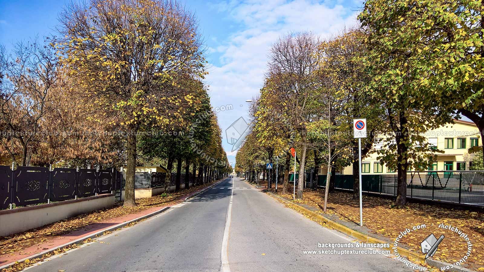 Textures   -   BACKGROUNDS & LANDSCAPES   -   CITY & TOWNS  - Avenue background with autumn trees 21045