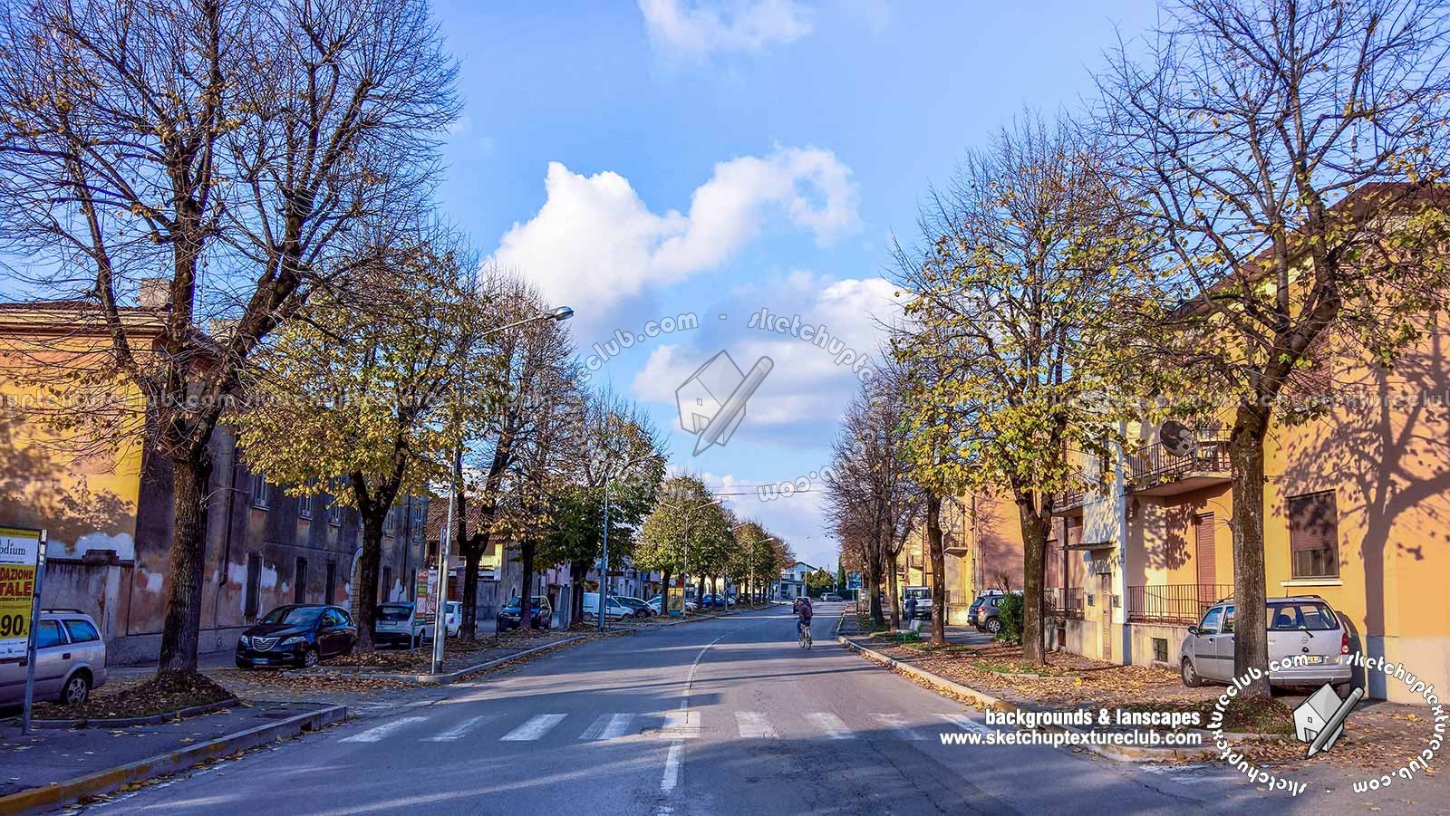 Textures   -   BACKGROUNDS & LANDSCAPES   -   CITY & TOWNS  - Avenue background with autumn trees 21047