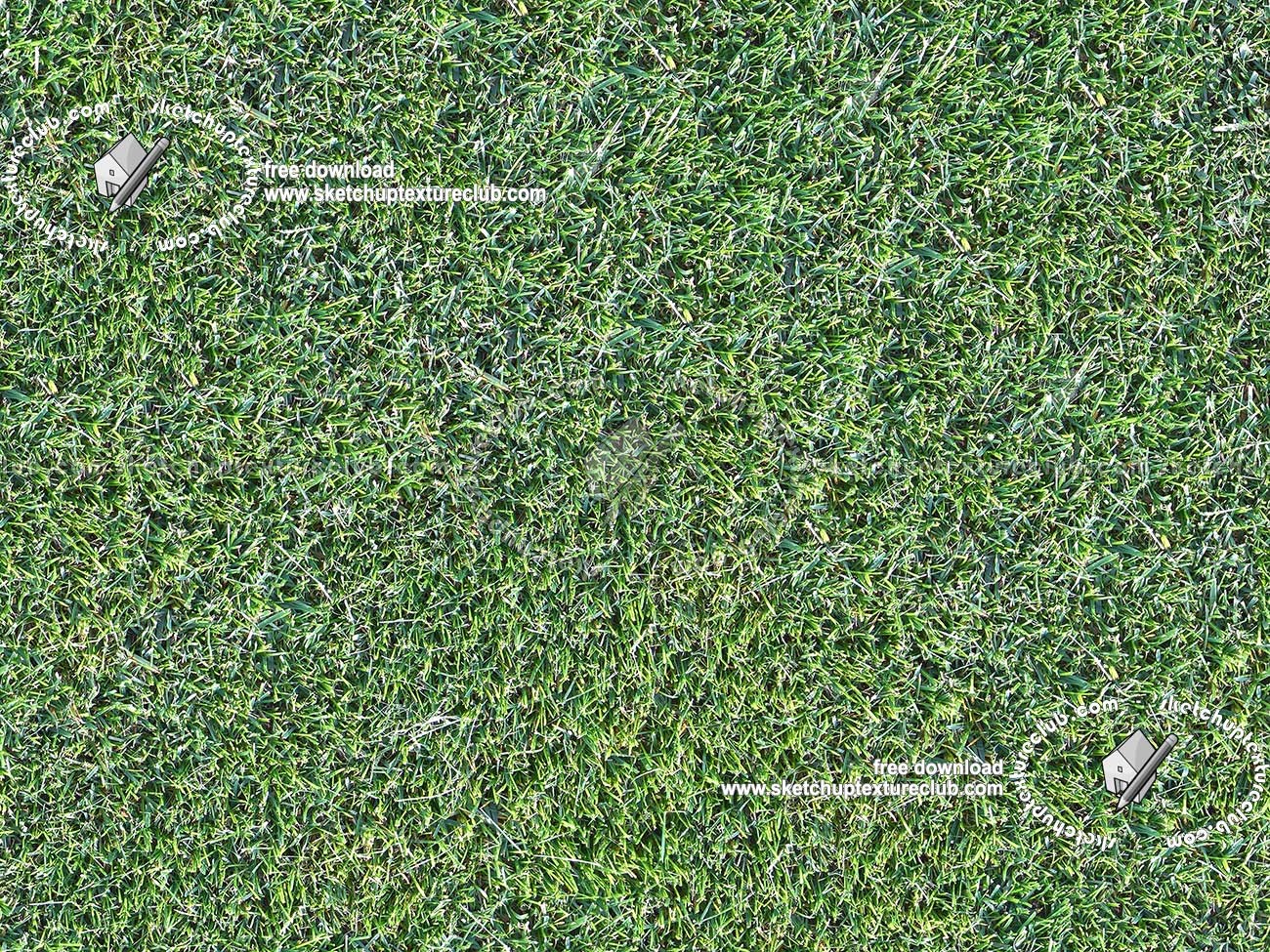 Textures   -   NATURE ELEMENTS   -   VEGETATION   -   Green grass  - Clippings grass texture seamless 20522 (seamless)