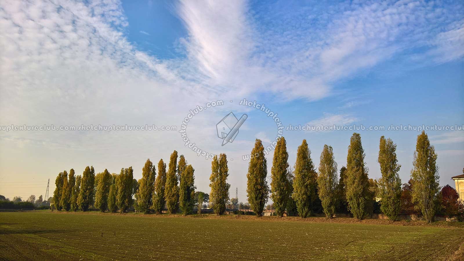 Textures   -   BACKGROUNDS &amp; LANDSCAPES   -   NATURE   -   Countrysides &amp; Hills  - Countryside trees line landscape 20107