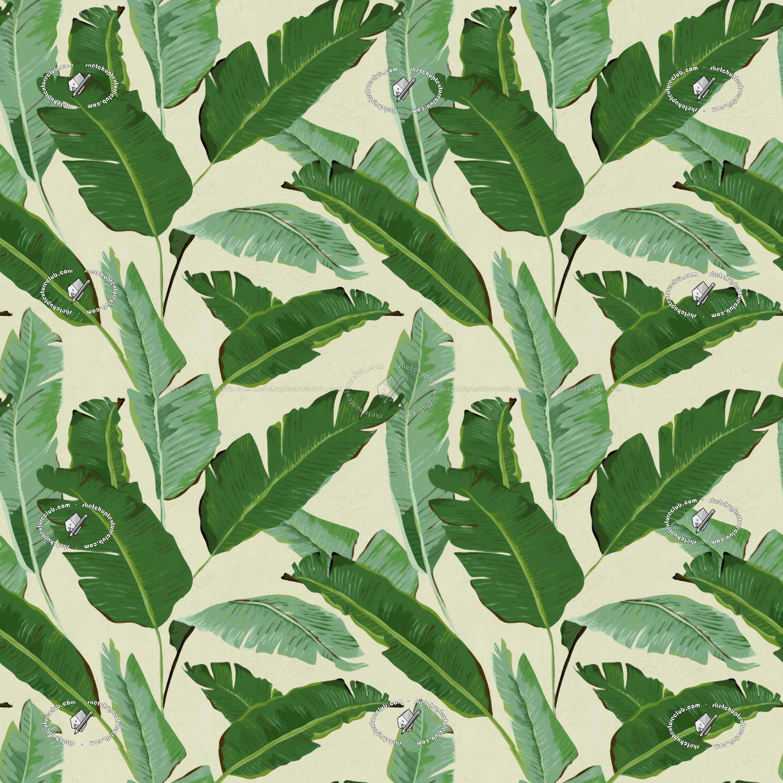  Banana  leaves  wallpaper  texture seamless 20930