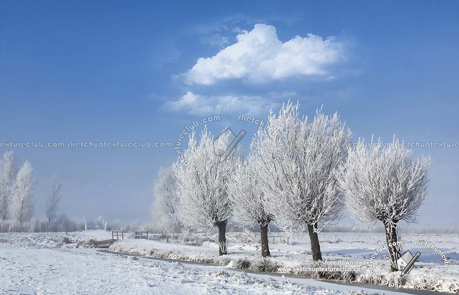 Textures   -   BACKGROUNDS &amp; LANDSCAPES   -   NATURE   -   Countrysides &amp; Hills  - Mulberries with snowy countryside landscape 20216
