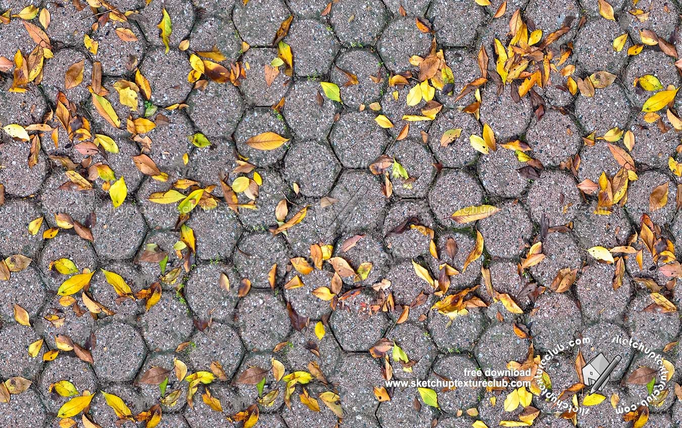 Textures   -   ARCHITECTURE   -   PAVING OUTDOOR   -   Concrete   -   Blocks regular  - Concrete paving outdoor with dead leaves texture seamless 19253 (seamless)