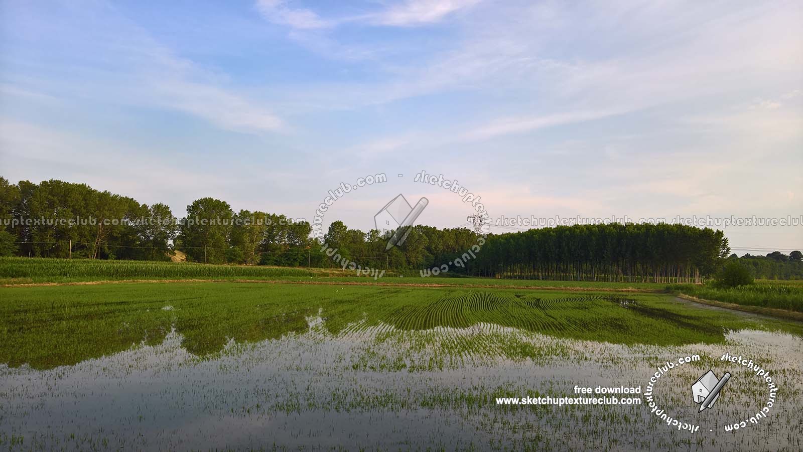 Textures   -   BACKGROUNDS &amp; LANDSCAPES   -   NATURE   -   Countrysides &amp; Hills  - Rice fields with trees in the background 20778