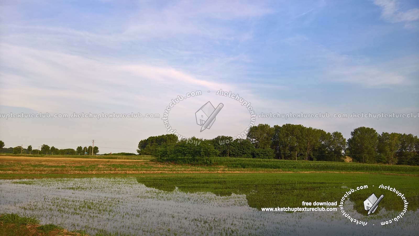 Textures   -   BACKGROUNDS & LANDSCAPES   -   NATURE   -   Countrysides & Hills  - Rice fields with trees in the background 20779