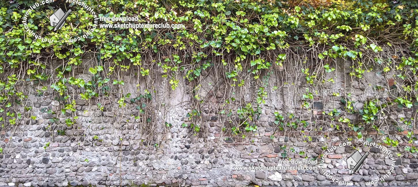 Textures   -   ARCHITECTURE   -   STONES WALLS   -   Stone walls  - Italy old wall stone with wild vegetation texture horizontal seamless 19674 (seamless)