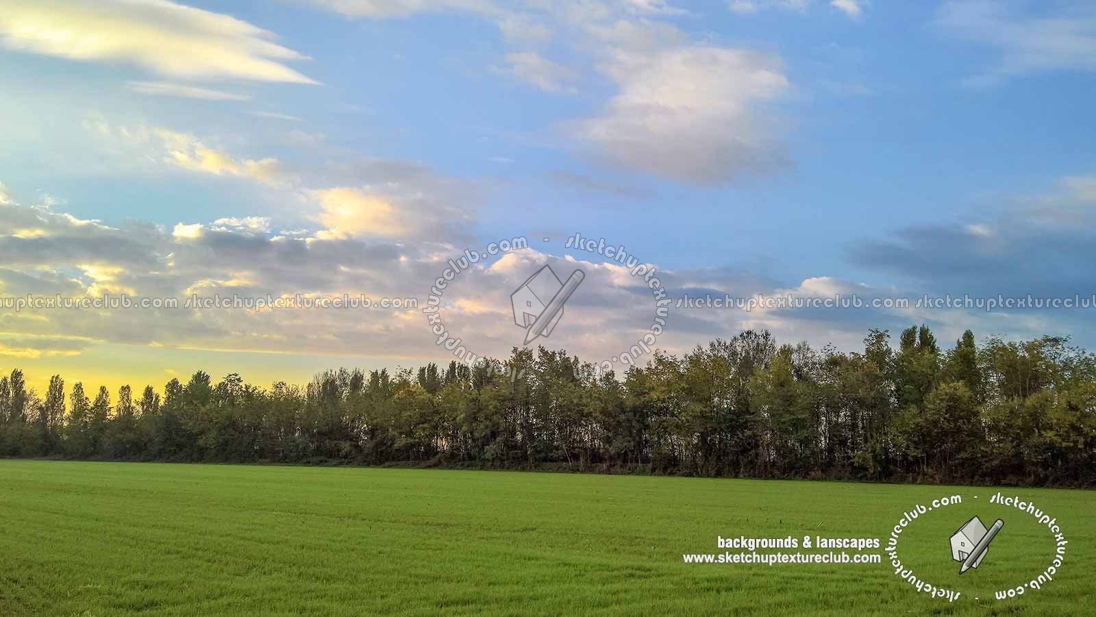 Textures - BACKGROUNDS & LANDSCAPES - NATURE - Countrysides & Hills - Country landscape with trees background 21030