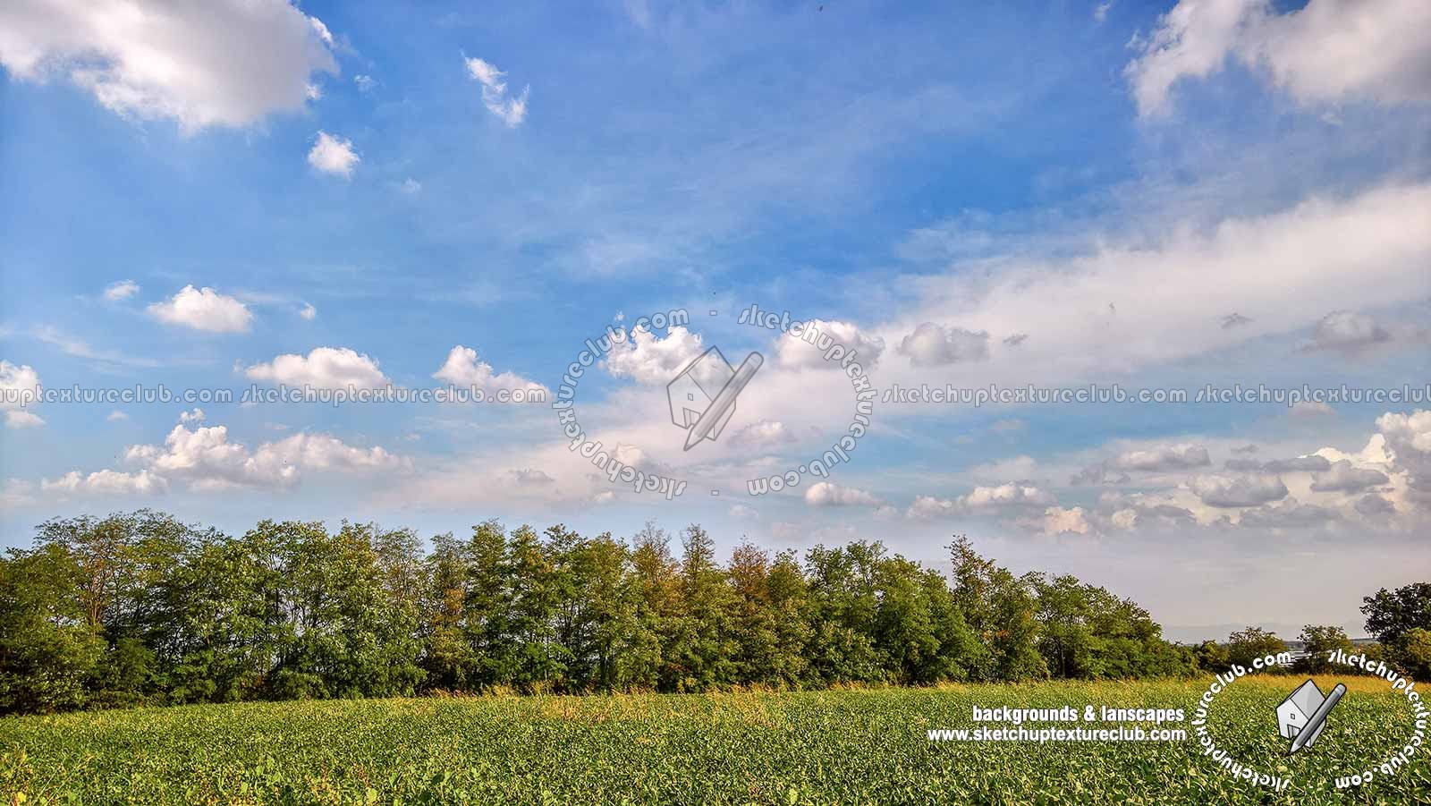 Textures - BACKGROUNDS & LANDSCAPES - NATURE - Countrysides & Hills - Country landscape with trees background 21033