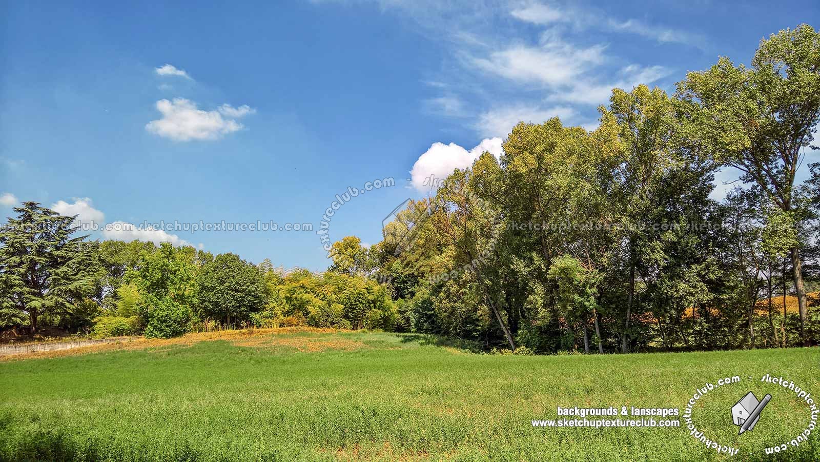 Country landscape with trees background 21036