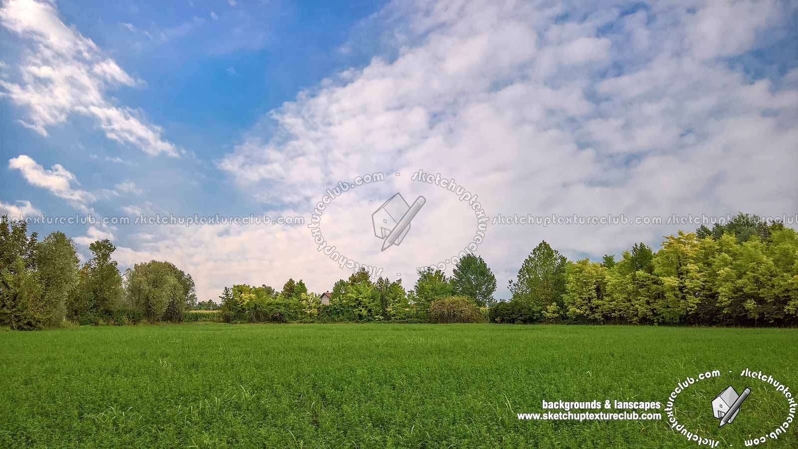 Country landscape with trees background 21037