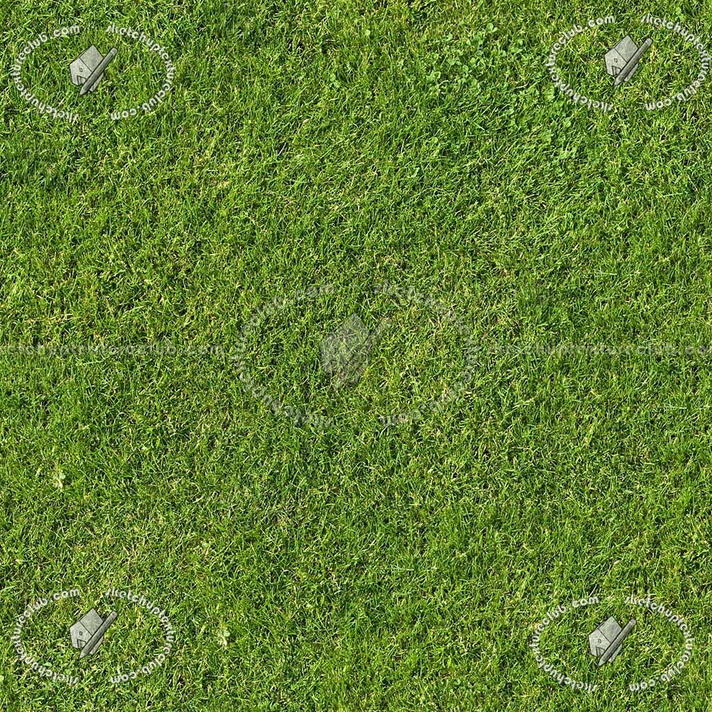Textures   -   NATURE ELEMENTS   -   VEGETATION   -   Green grass  - Green grass texture seamless 12967 (seamless)