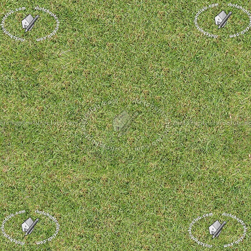 Textures   -   NATURE ELEMENTS   -   VEGETATION   -   Green grass  - Green grass texture seamless 12976 (seamless)