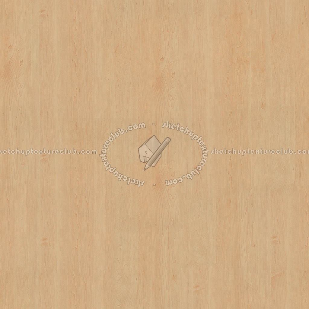 Textures   -   ARCHITECTURE   -   WOOD   -   Fine wood   -   Light wood  - Sycomore light wood fine texture 04392 (seamless)
