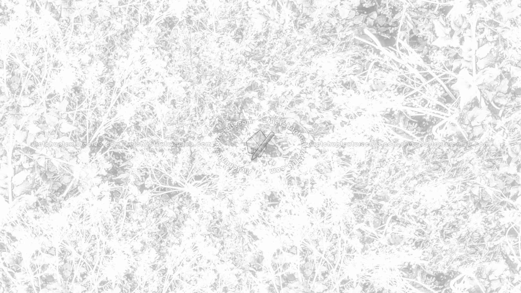 Textures - NATURE ELEMENTS - VEGETATION - Green grass - Brambles texture seamless 17358 - Ambient occlusion