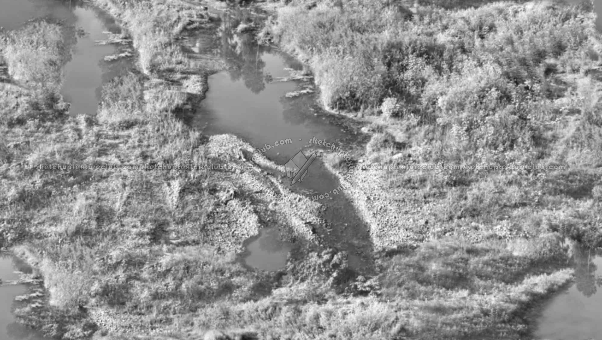 Textures   -   NATURE ELEMENTS   -   VEGETATION   -   Green grass  - Grass with puddles texture seamless 17475 - Bump