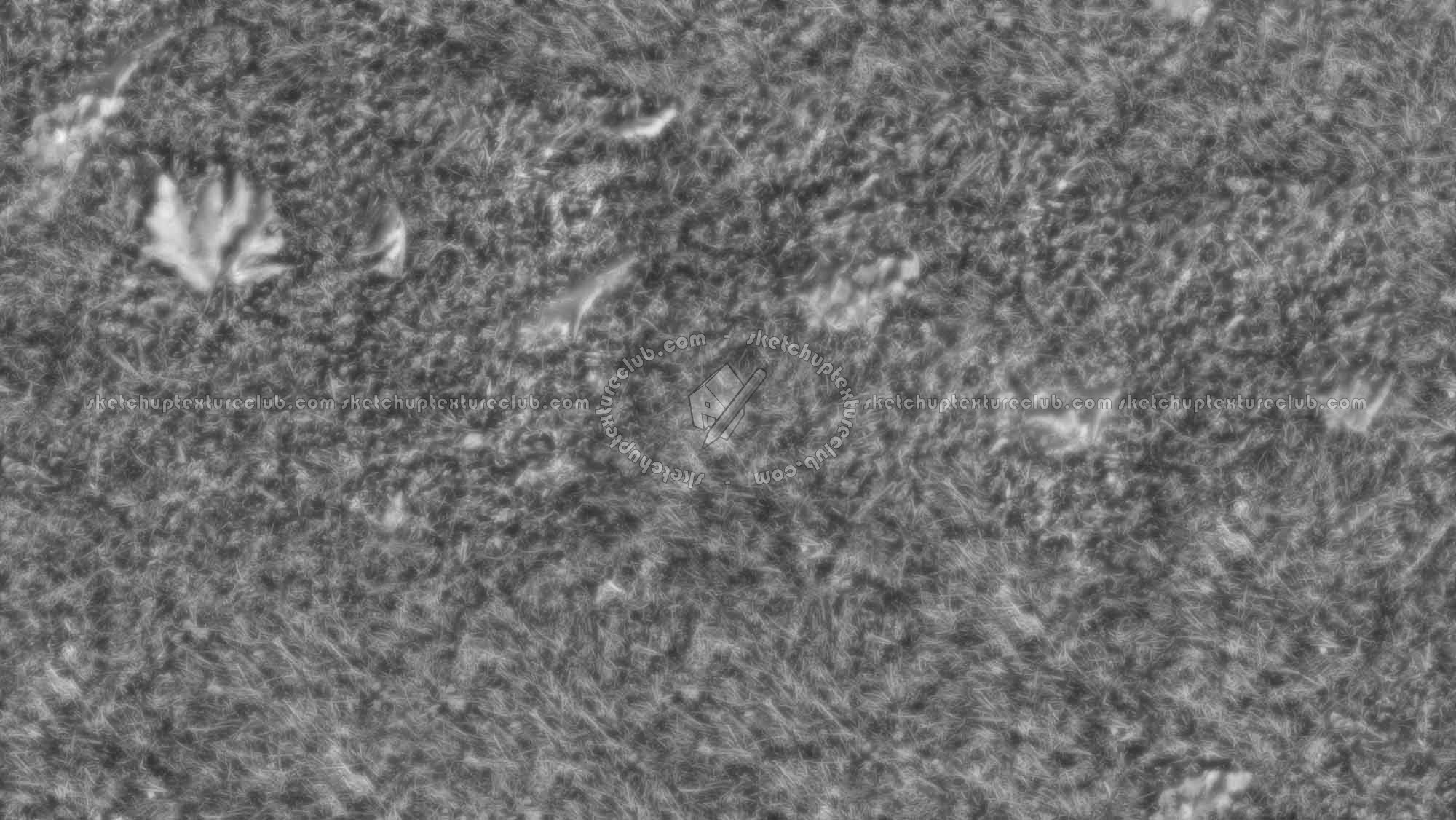 Textures   -   NATURE ELEMENTS   -   VEGETATION   -   Green grass  - Green grass texture seamless 17672 - Displacement