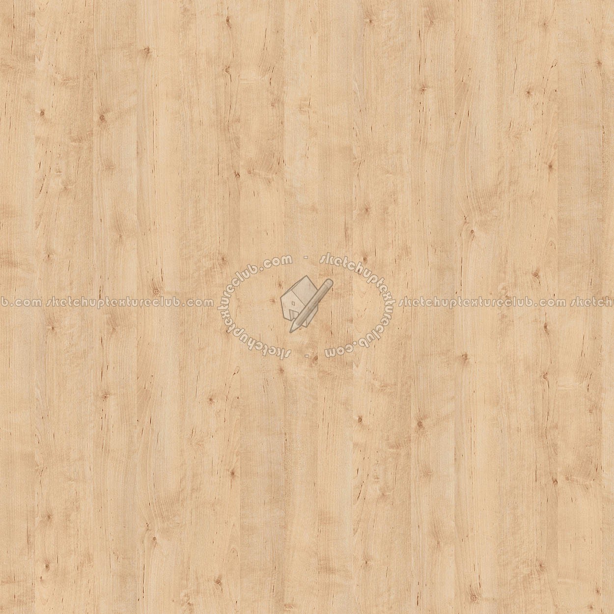 Textures   -   ARCHITECTURE   -   WOOD   -   Fine wood   -   Light wood  - light wood fine texture-seamless 05478 (seamless)