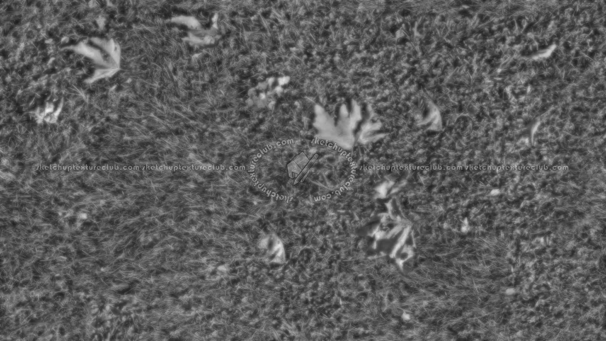 Textures   -   NATURE ELEMENTS   -   VEGETATION   -   Green grass  - Green grass texture seamless 17673 - Displacement