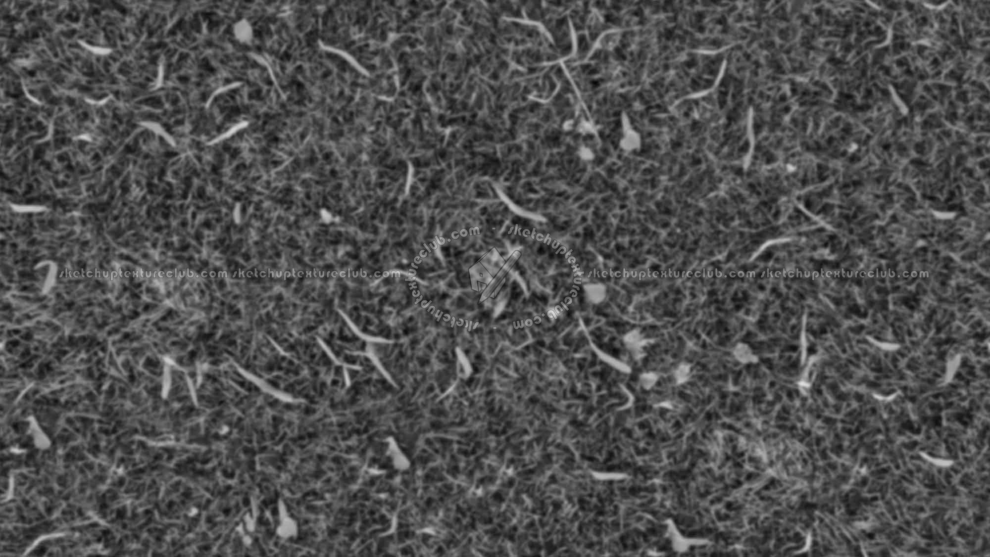 Textures   -   NATURE ELEMENTS   -   VEGETATION   -   Green grass  - Green grass texture seamless 17745 - Displacement