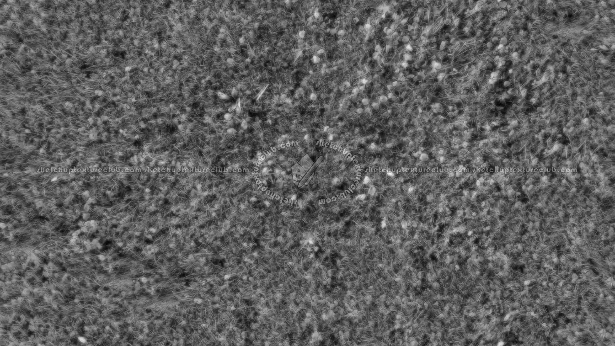 Textures   -   NATURE ELEMENTS   -   VEGETATION   -   Green grass  - Green grass texture seamless 18205 - Displacement