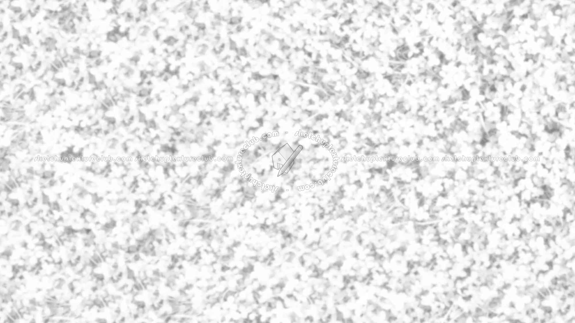 Textures   -   NATURE ELEMENTS   -   VEGETATION   -   Green grass  - Clover grass texture seamless 18207 - Ambient occlusion