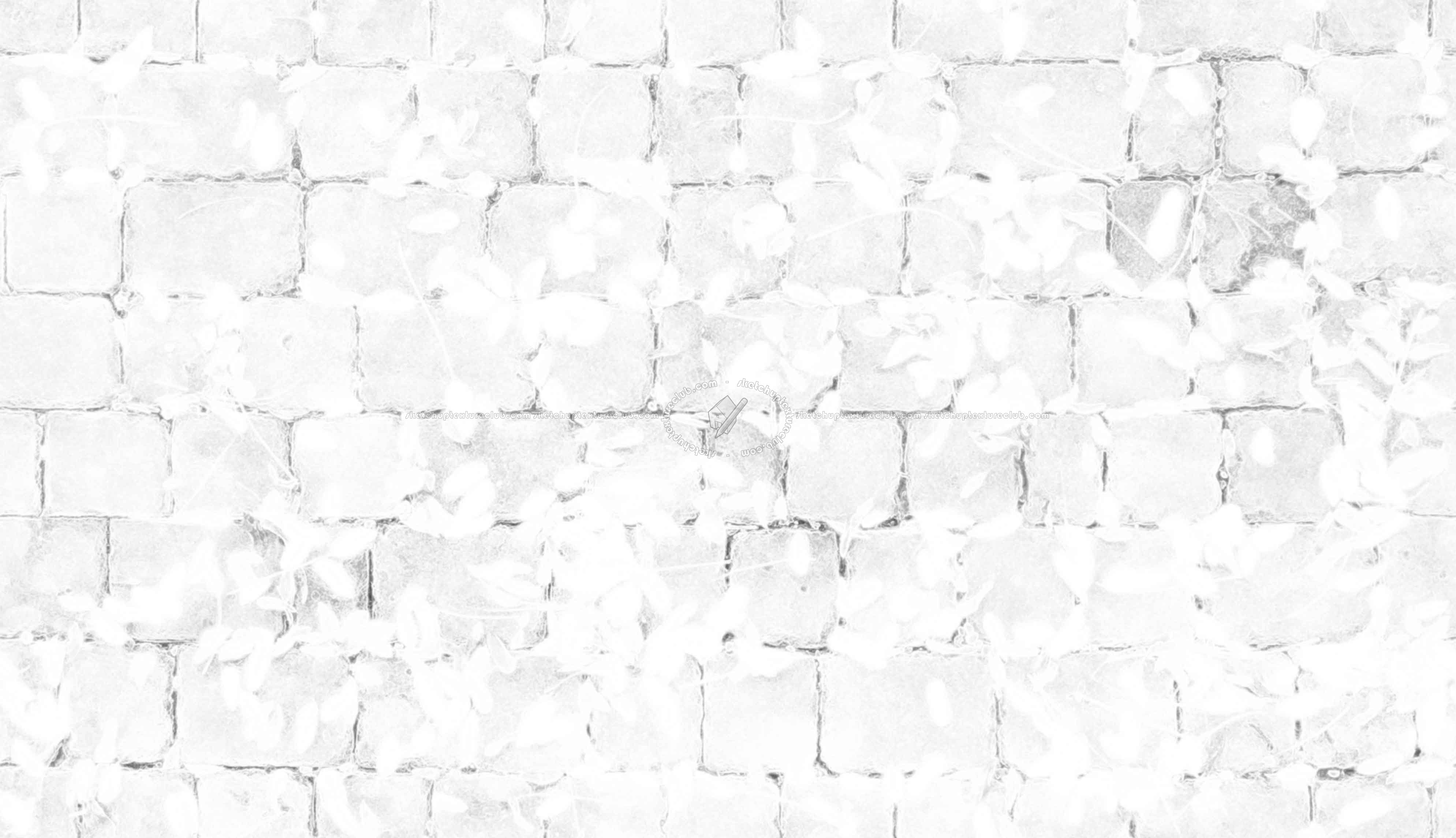 Textures   -   ARCHITECTURE   -   ROADS   -   Paving streets   -   Cobblestone  - Cobblestone with leaves dead texture seamless 20537 - Ambient occlusion