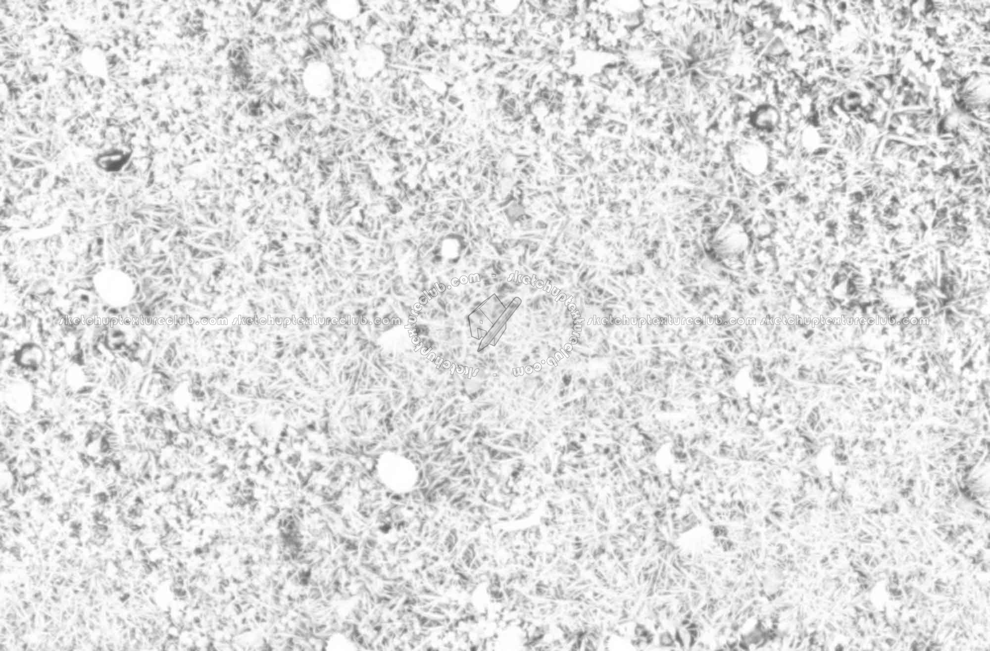 Textures   -   NATURE ELEMENTS   -   VEGETATION   -   Green grass  - Grass with chestnuts texture seamless 18246 - Ambient occlusion