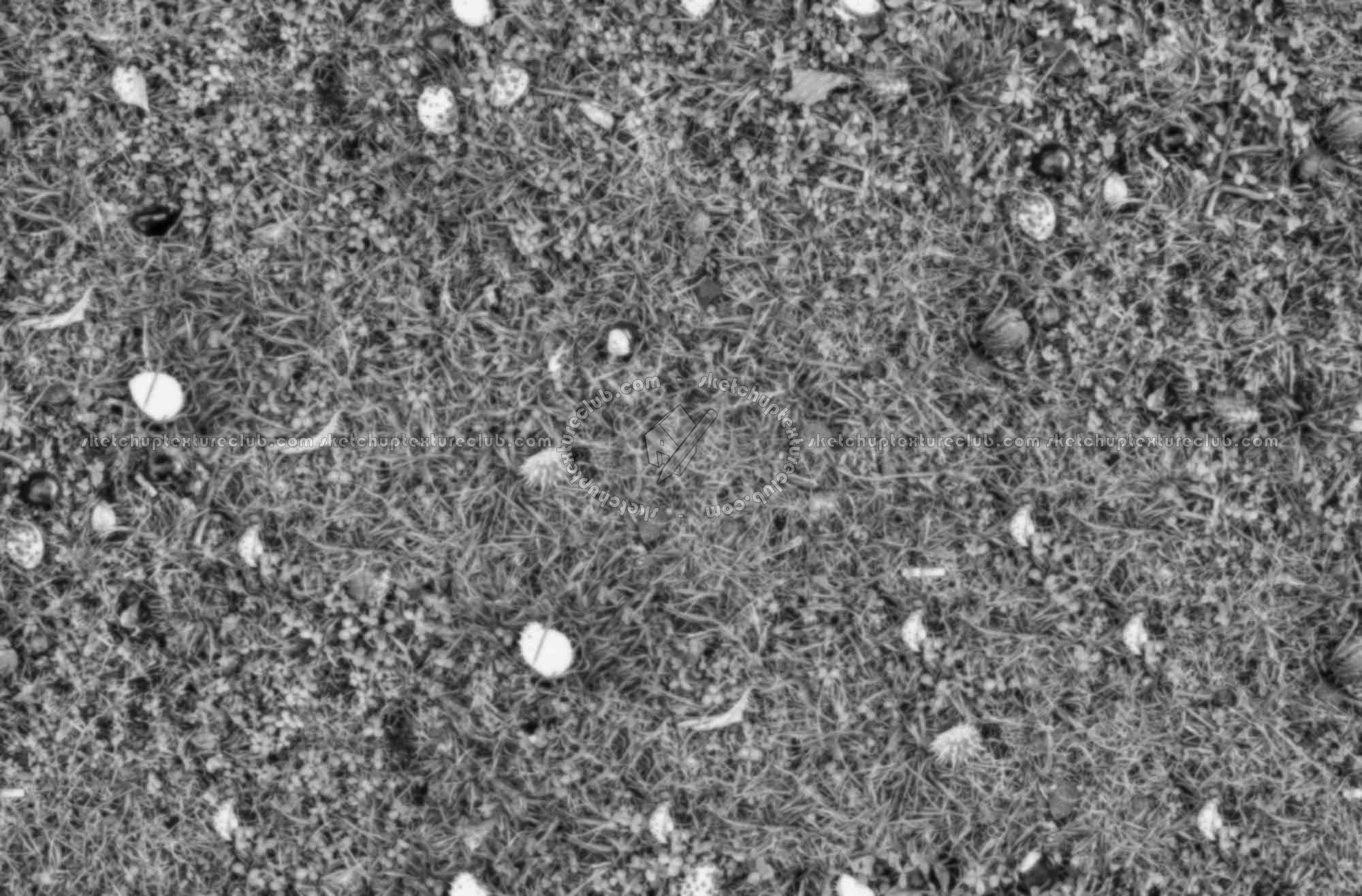 Textures   -   NATURE ELEMENTS   -   VEGETATION   -   Green grass  - Grass with chestnuts texture seamless 18246 - Displacement