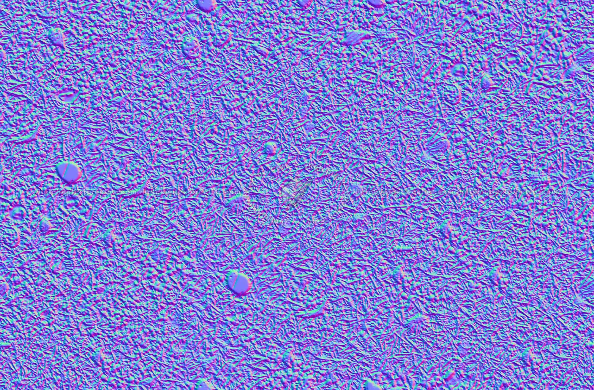 Textures   -   NATURE ELEMENTS   -   VEGETATION   -   Green grass  - Grass with chestnuts texture seamless 18246 - Normal